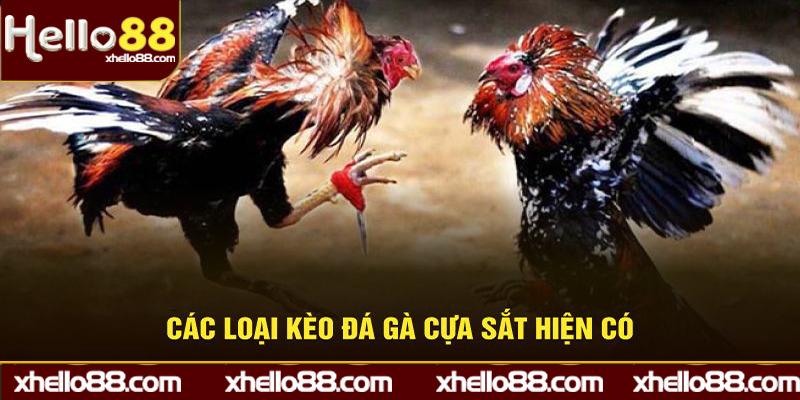 Một số loại kèo đá gà cựa sắt