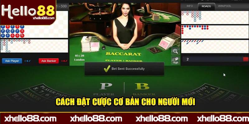 Cách đặt cược cơ bản cho người mới