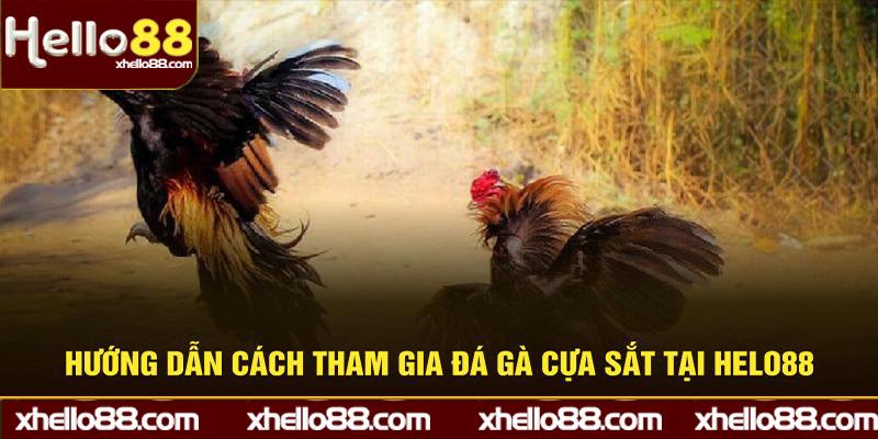 Hướng dẫn tham gia đá gà cựa sắt Helo88