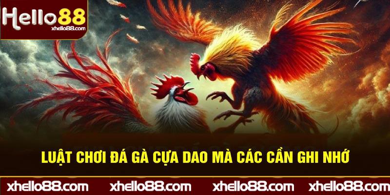 Luật chơi đá gà cựa dao cần ghi nhớ