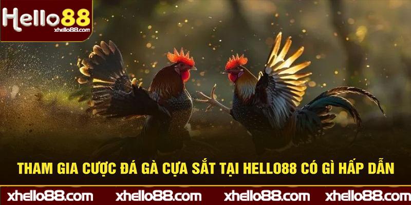 Tham gia cược đá gà cựa sắt tại Hello88 có gì hấp dẫn